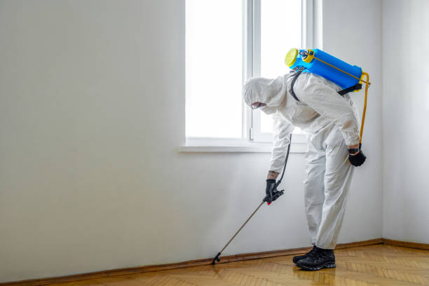 Best Pest Control for Multi-Family Homes  in Gold Hill, OR